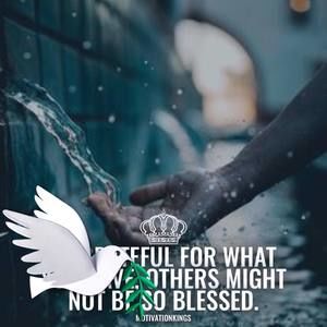 Meet your Posher, Dan